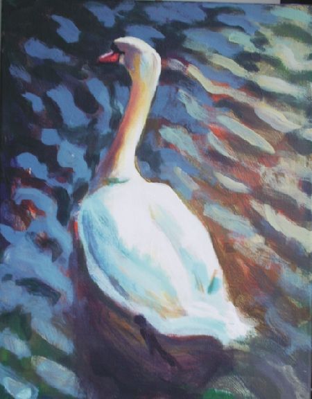 Evening Swan
